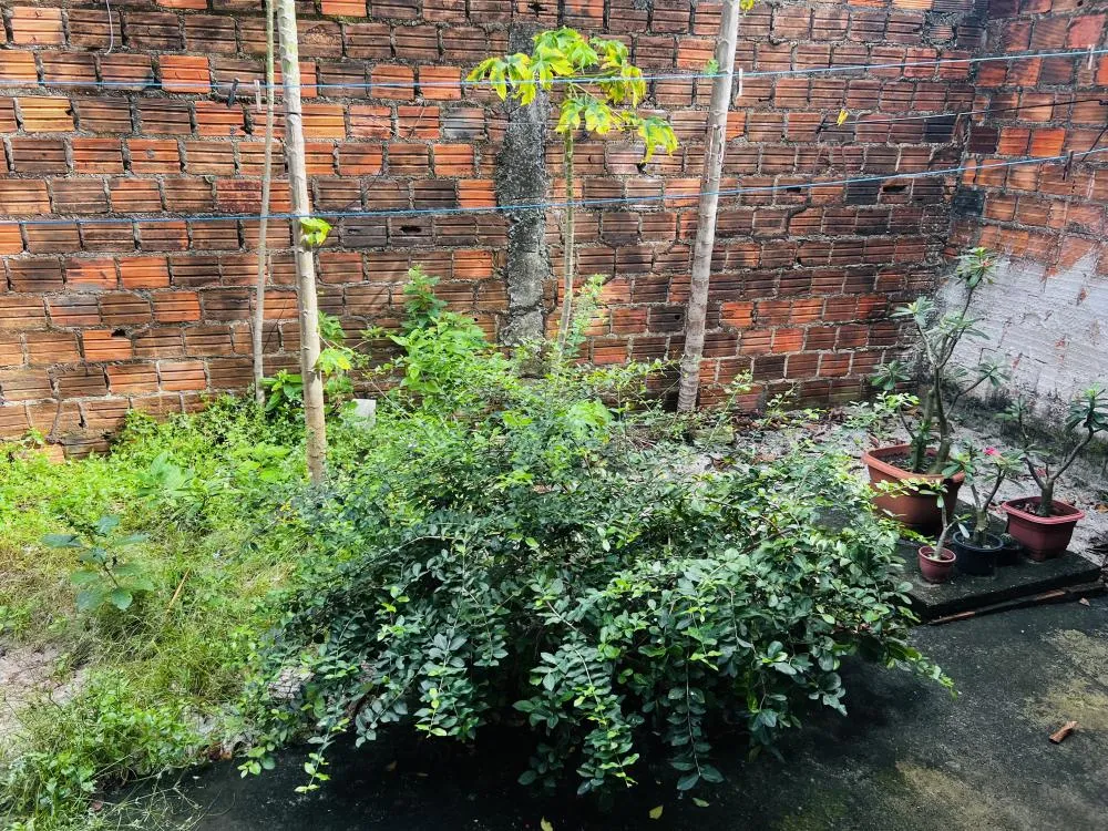 Casa na Massagueira, 3 quartos, 1 garagem coberta, 2 banheiros, 2 salas, cozinha e quintal