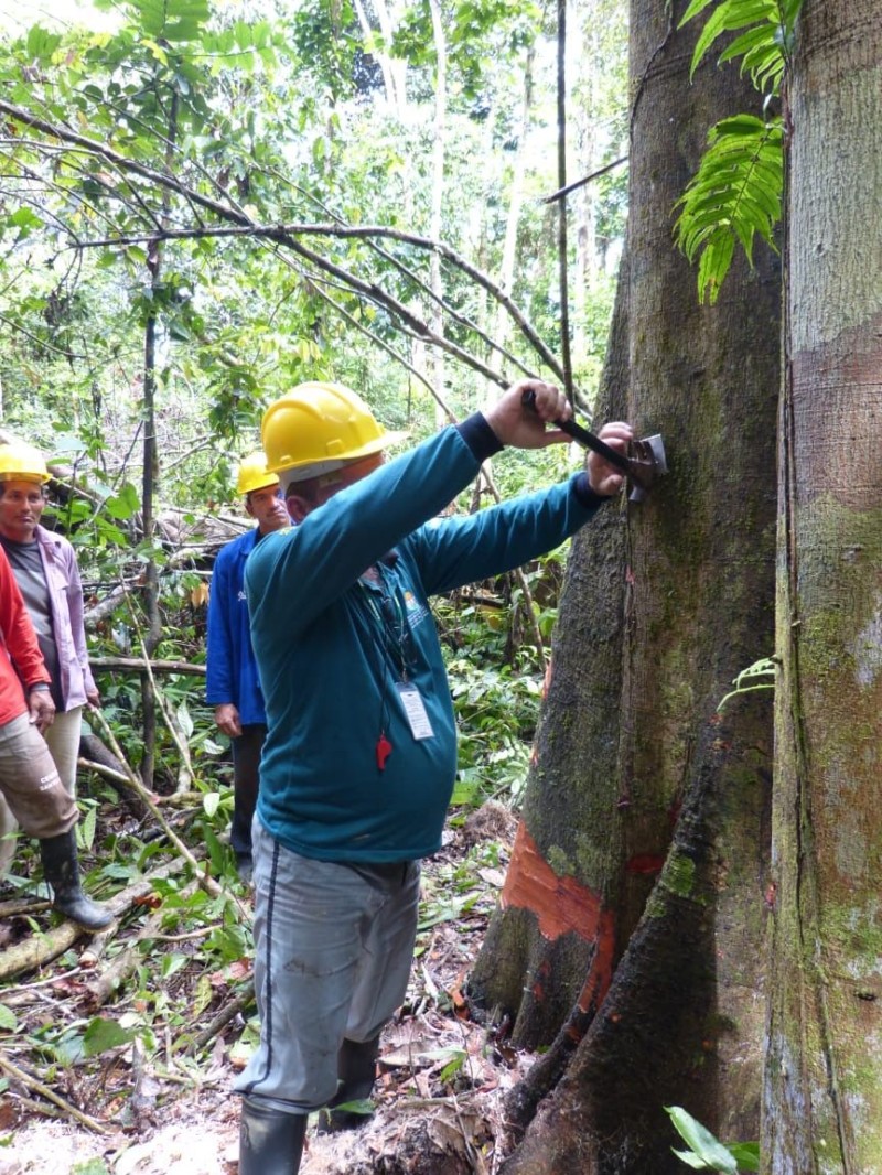 Foto: Reprodução/Secom Amazonas