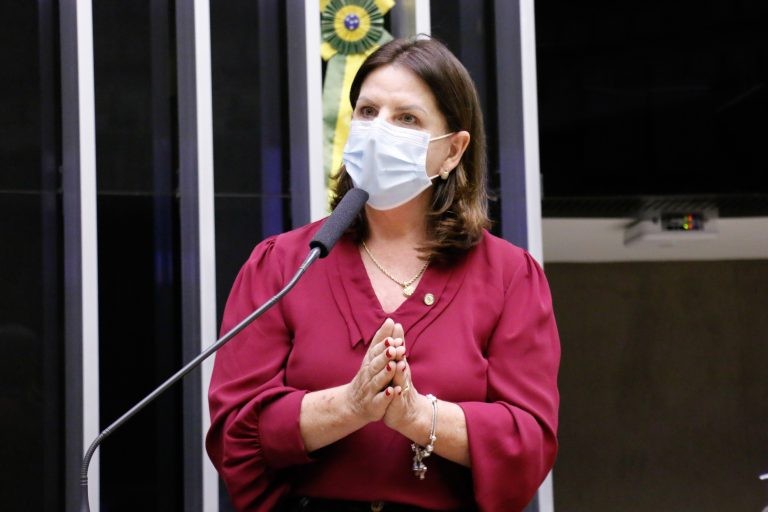Carmen Zanotto reuniu três projetos em um só texto - (Foto: Marina Ramos/Câmara dos Deputados)