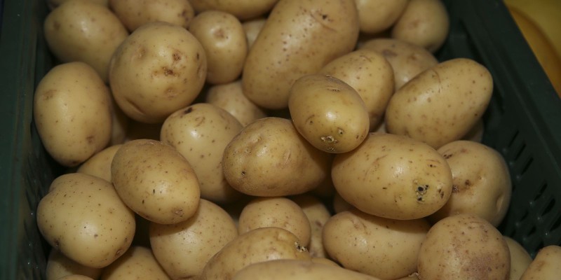 © Valter Campanato/Agência Brasil