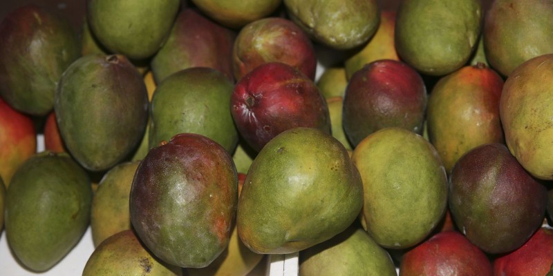 © Valter Campanato/Agência Brasil