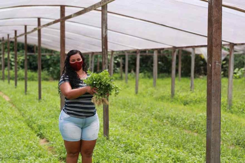 Foto: Reprodução/Secom Amazonas