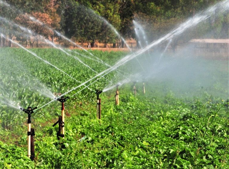 Em 15 de junho se celebra o Dia Nacional da Agricultura Irrigada - (Foto: Acácio Pinheiro/Agência Brasília)