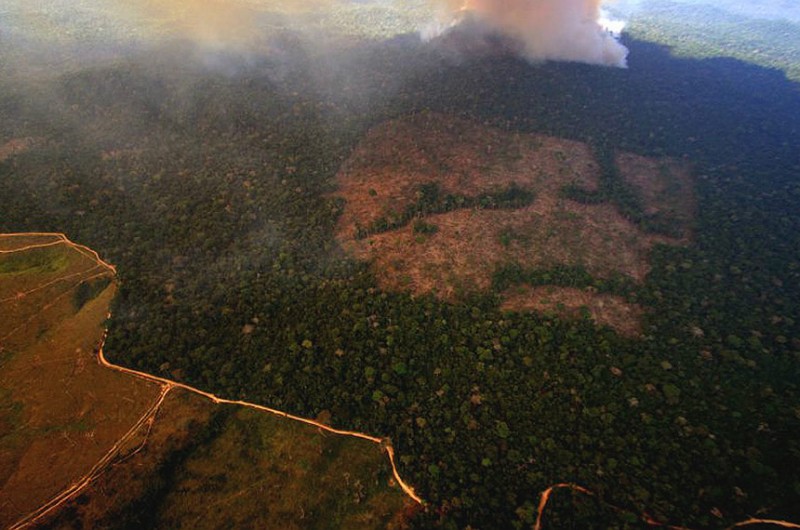 Audiência pública requerida pelo senador Reguffe ouvirá alguns dos maiores especialistas do país em defesa do meio ambiente - Arquivo EBC