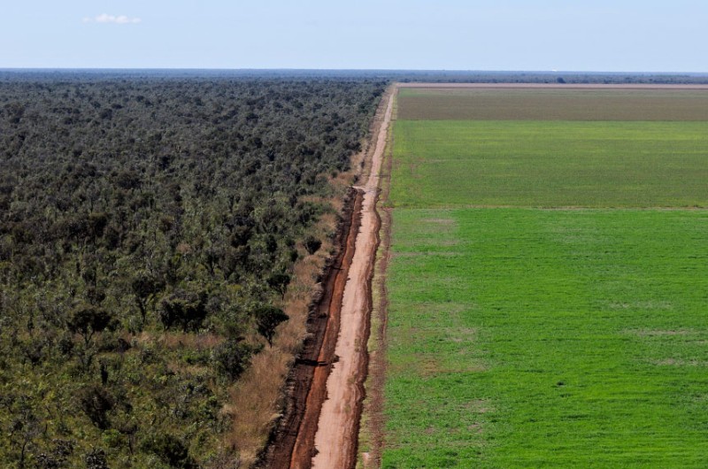 Plantação de soja em área de Cerrado, no Piauí - Adriano Gambarini/WWF-Brasil