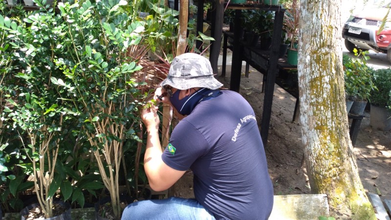 Foto: Reprodução/Secom Amazonas