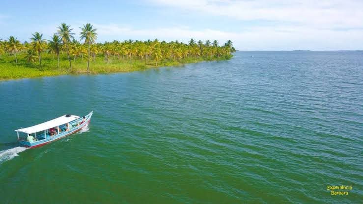 Foto: Reprodução/Prefeitura de Piaçabuçu - AL