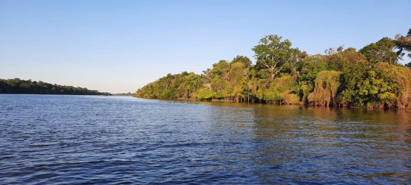 Reserva da Biosfera da Amazônia CentralFOTOS: Ricardo Oliveira e Lucyleny Rocha