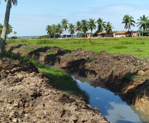 Foto: Reprodução/Prefeitura de Piaçabuçu - AL