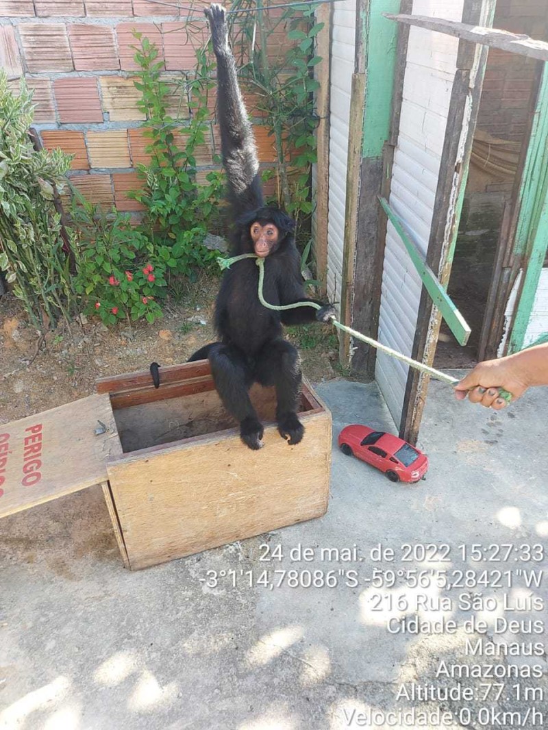 Foto: Reprodução/Secom Amazonas