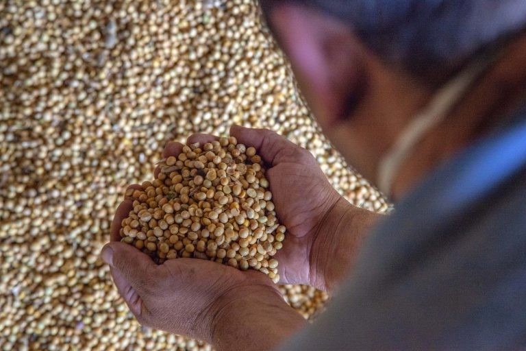 Brasil é o segundo país na produção e processamento mundial da soja - (Foto: Cláudio Neves/Portos do Paraná)