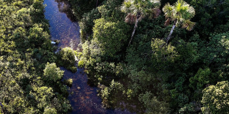 © Marcelo Camargo/Agência Brasil