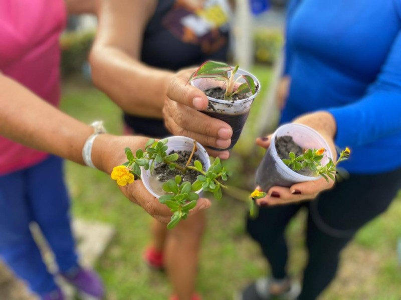 Foto: Reprodução/Secom Amazonas