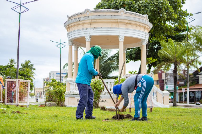 Mais de 100 mudas foram plantadas. Foto: Júnior Bertoldo/Secom Maceió