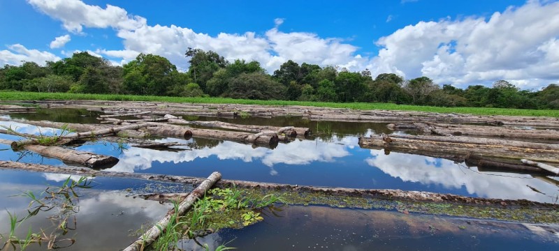 Foto: Reprodução/Secom Amazonas