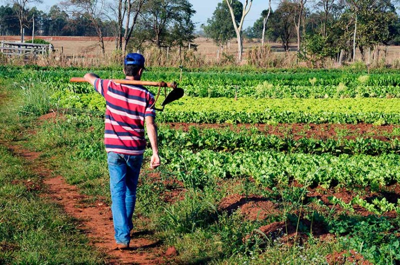 O Programa Alimenta Brasil substituiu o Programa de Aquisição de Alimentos - Jorge Etecheber/SESC-SP