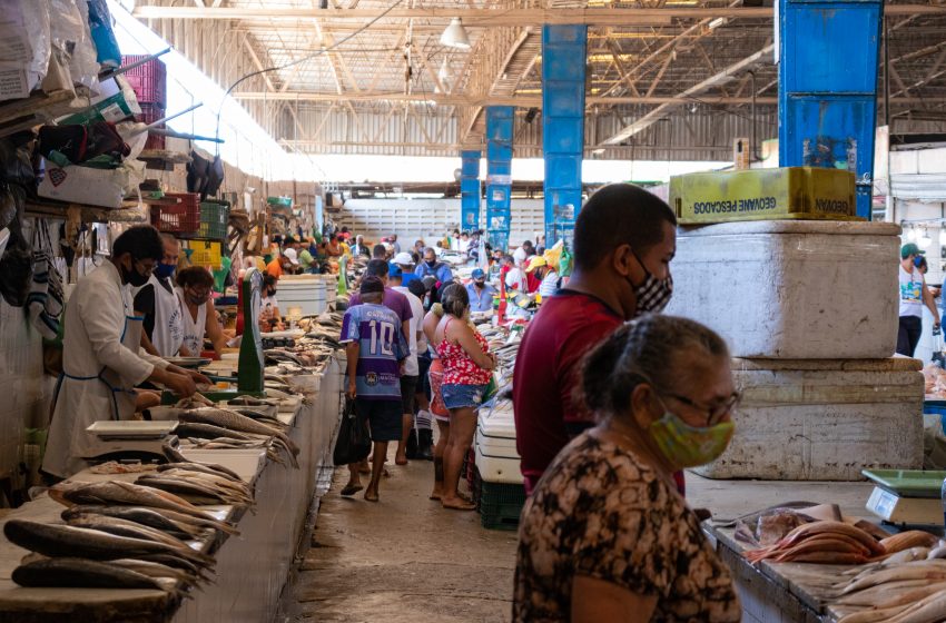 São João: confira funcionamento mercados e feiras livres na sexta (24)
