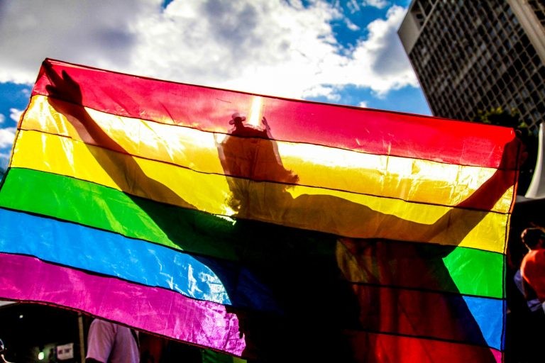 No dia 28 de junho, comemora-se o Dia Internacional do Orgulho LGBTQIA+ - (Foto: Paulo Pinto/FotosPublicas)