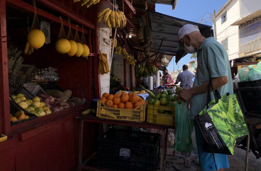 Clientes da Feira da Jatiúca são fregueses assíduos. Foto: João Ferro/Ascom Semtabes