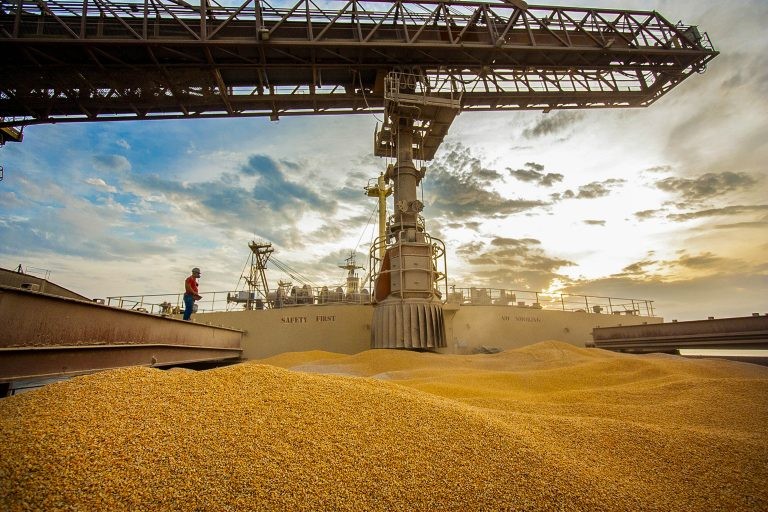 Projeto quer evitar abusos na exportação de alimentos consumidos por brasileiros - (Foto: Cláudio Neves/Portos do Paraná)