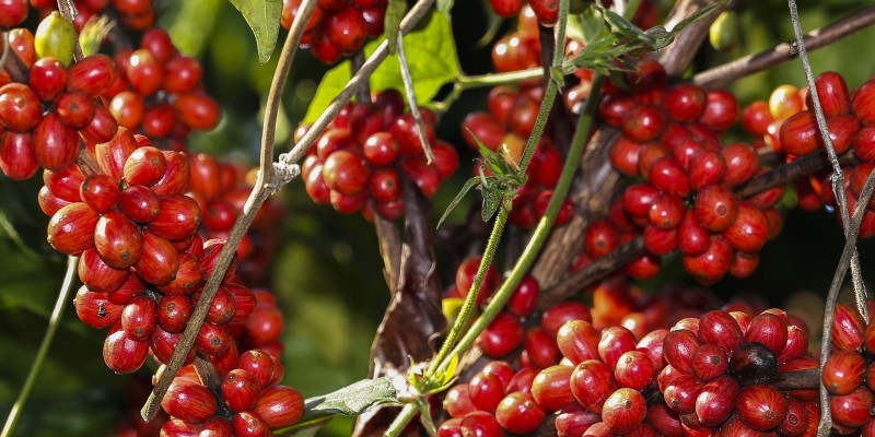 © Valter Campanato/Agência Brasil