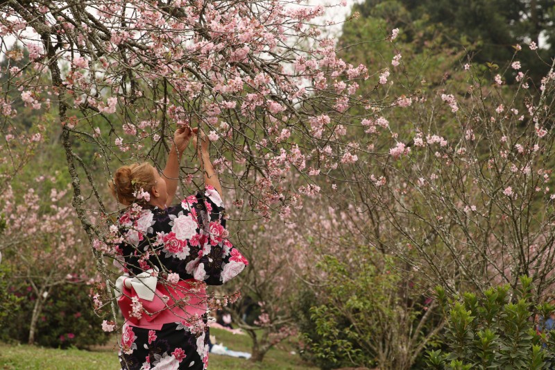 © Rovena Rosa/Agência Brasil