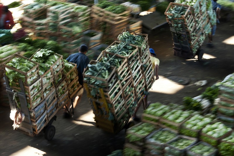 © Marcelo Camargo/Agência Brasil