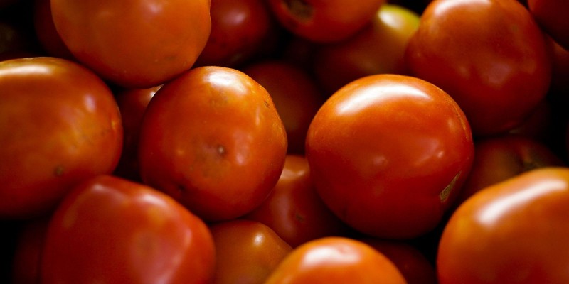 © Foto Elza Fiúza/Agência Brasil