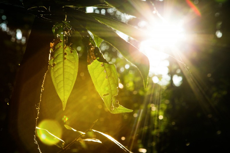 Foto: Reprodução/Secom Amazonas