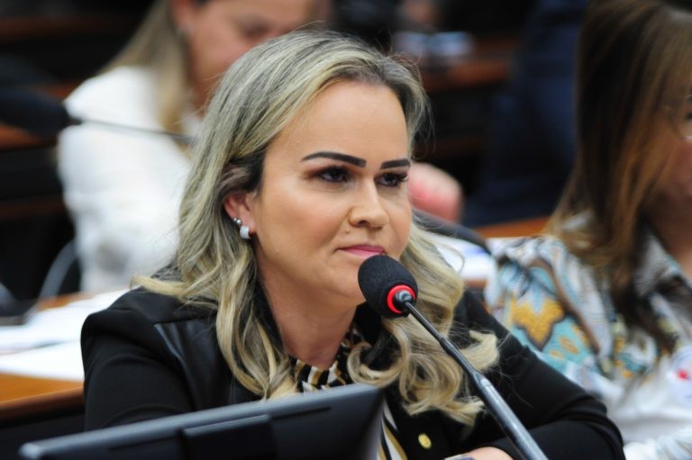 A relatora Daniela do Waguinho reuniu vários textos num só - (Foto: Billy Boss/Câmara dos Deputados)