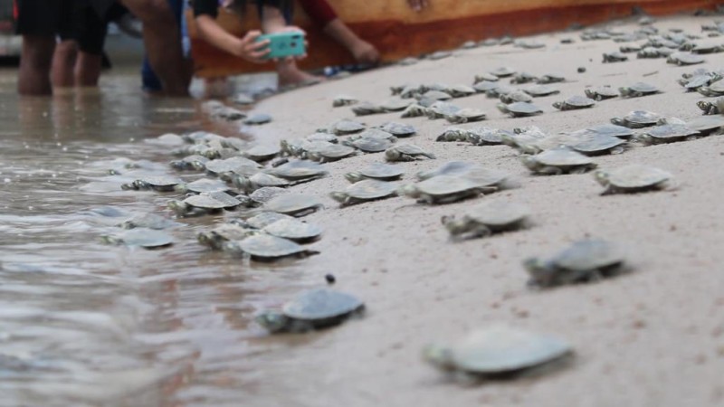 Foto: Reprodução/Secom Amazonas