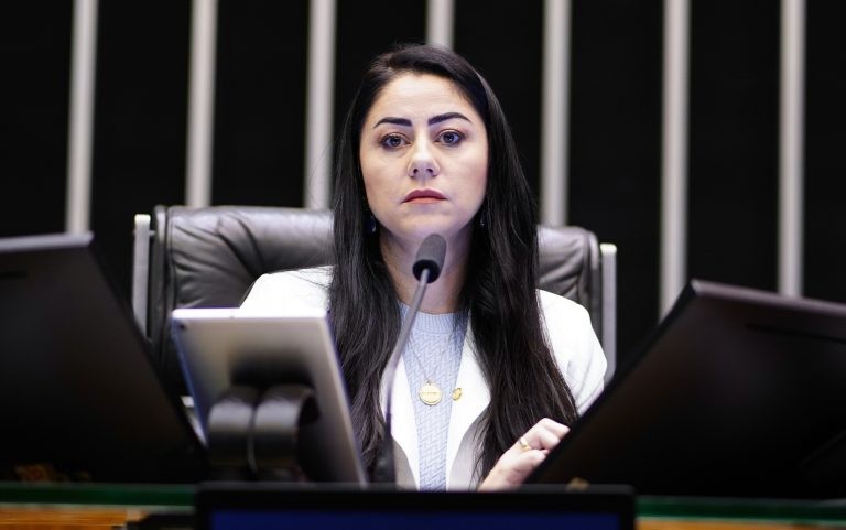 Liziane Bayer, relatora do projeto de lei - (Foto: Pablo Valadares/Câmara dos Deputados)