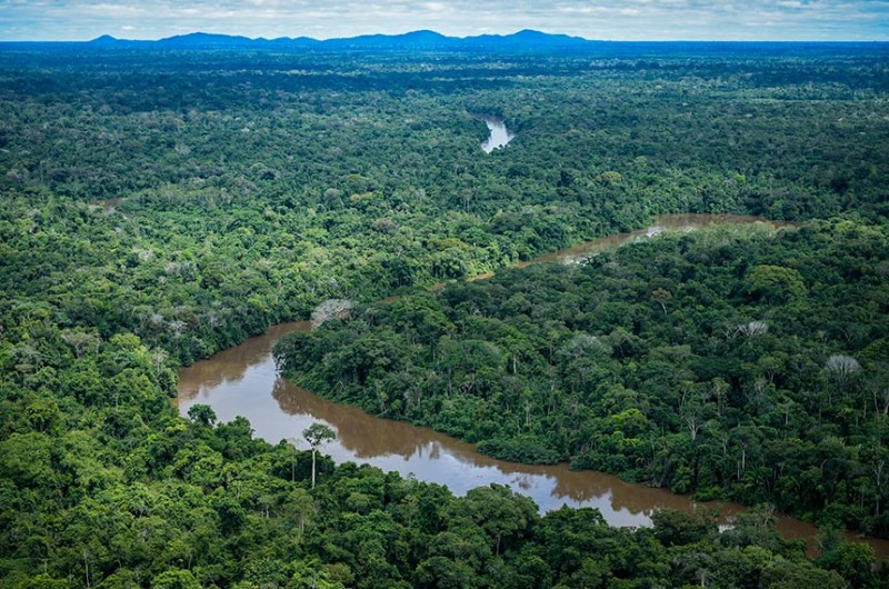 Contrato de concessão de florestas públicas passa a prever o direito de comercializar créditos de carbono e produtos e serviços florestais não madeireiros - Felipe Werneck/Ibama