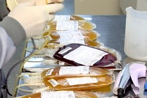 Doação de medula óssea - (Foto: TV Câmara)