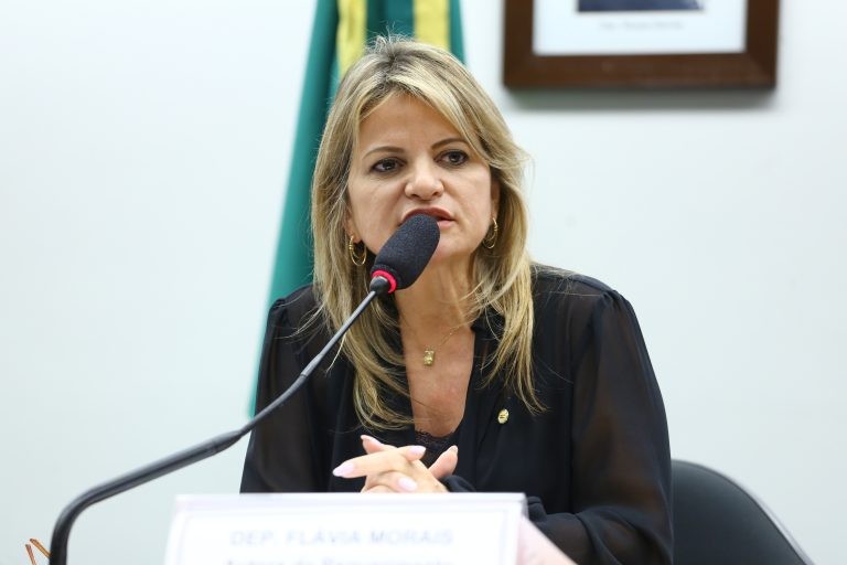 Flavia Morais, autora da proposta - (Foto: Vinicius Loures/ Câmara dos Deputados)