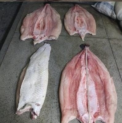 Foto: Reprodução/Secom Amazonas