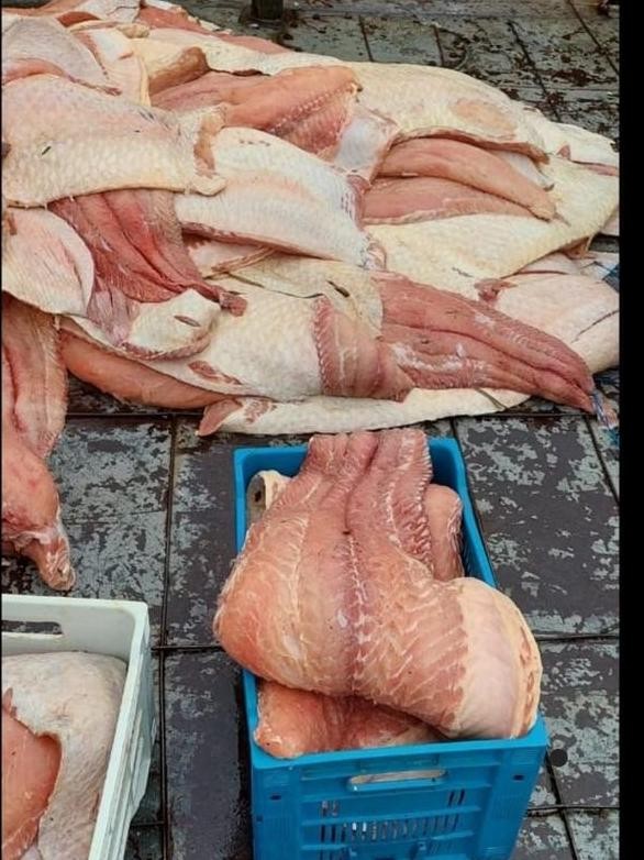 2 mil kg de pirarucu estavam sem documentação da procedência - FOTO: Divulgação/PMAM