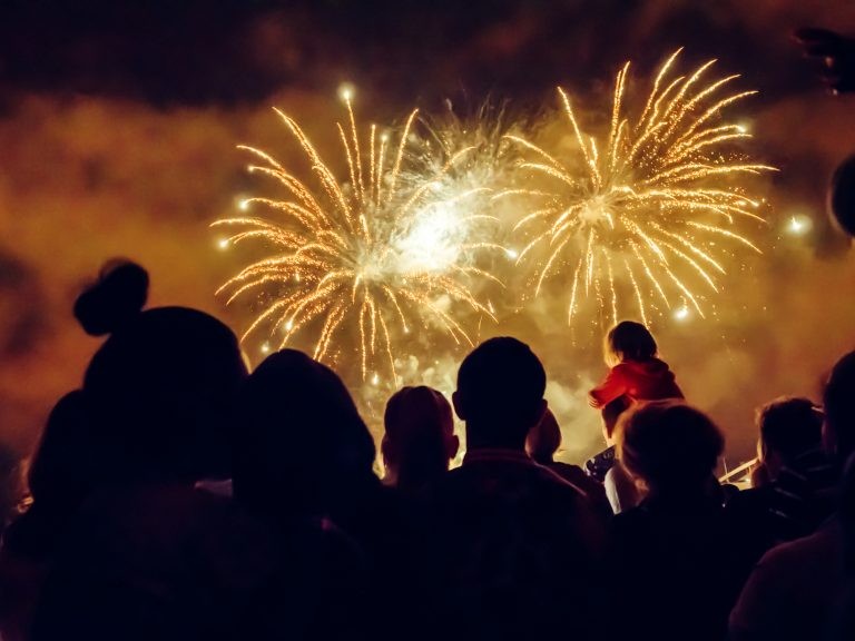 Proposta também proíbe a venda de fogos a menores de 18 anos - (Foto: nd3000/DepositPhotos)