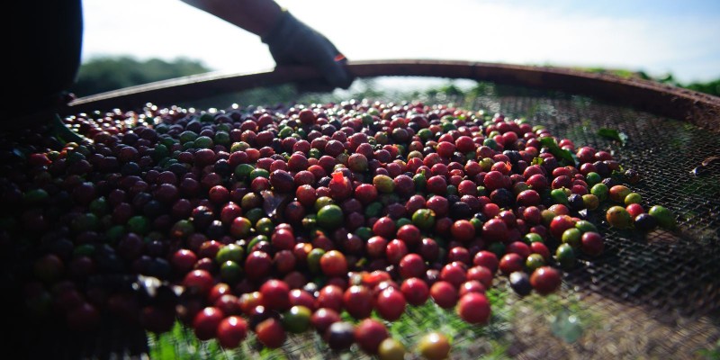© Arquivio/Marcelo Camargo/Agência Brasil