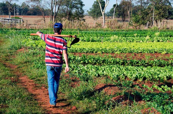 A medida provisória que amplia o prazo para que proprietários rurais e posseiros peçam adesão ao programa já foi aprovada na Câmara - Jorge Etecheber/SESC-SP