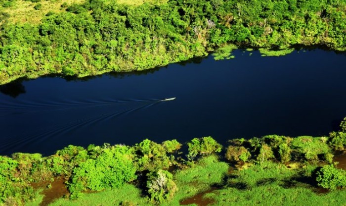 A Amazónia é fundamental para o equilíbrio climático do planeta - (Foto: Mário Oliveira/Prefeitura de Manaus)