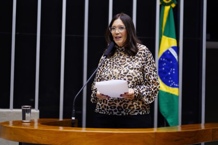 Bia Kicis pediu a realização da sessão junto com outros deputados - (Foto: Pablo Valadares / Câmara dos Deputados)