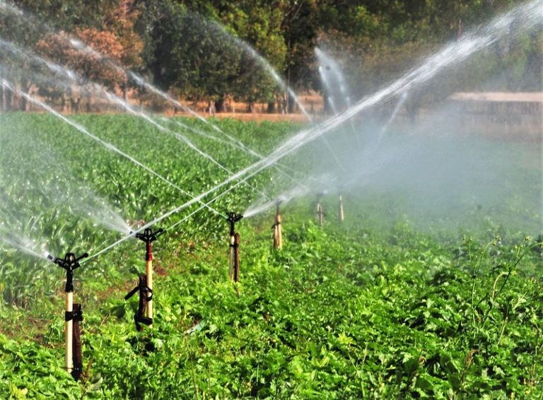 Irrigação garante melhor produtividade - (Foto: Acácio Pinheiro/Agência Brasília)
