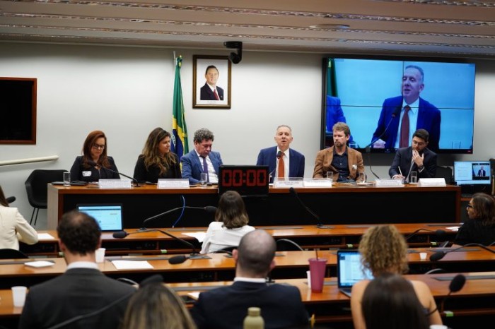 Tábata Amaral apresentou sugestões para a economia verde - (Foto: Pablo Valadares/Câmara dos Deputados)