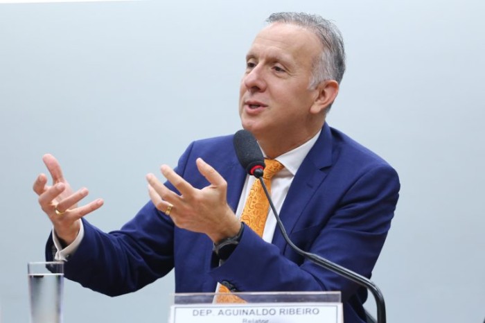Deputado Aguinaldo Ribeiro, relator da reforma tributária - (Foto: Vinicius Loures / Câmara dos Deputados)
