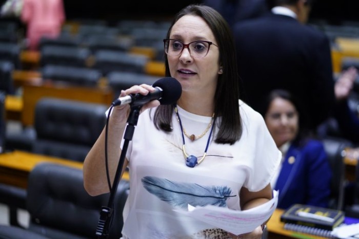 Renata Abreu reapresentou proposta de ex-deputado - (Foto: Pablo Valadares/Câmara dos Deputados)