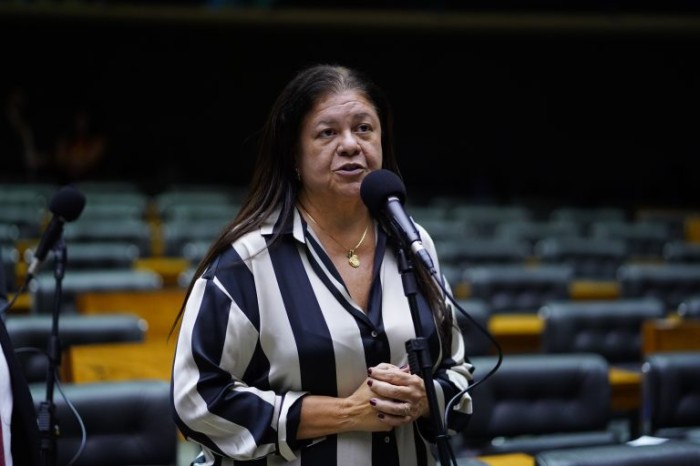 A relatora, deputada Laura Carneiro, recomendou a aprovação da proposta - (Foto: Pablo Valadares/Câmara dos Deputados)