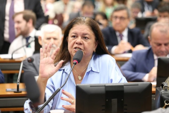 Deputada Laura Carneiro, relatora do projeto de lei - (Foto: Billy Boss/Câmara dos Deputados)