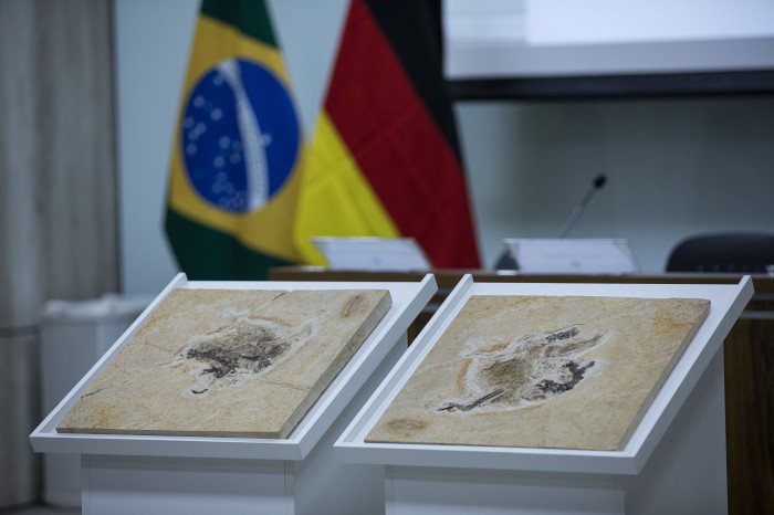 © Joédson Alves/Agência Brasil