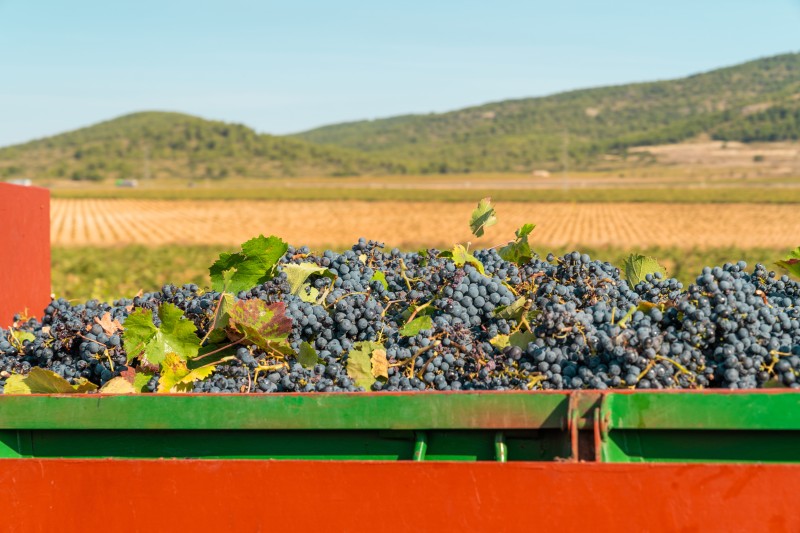 Image by wirestock on freepik